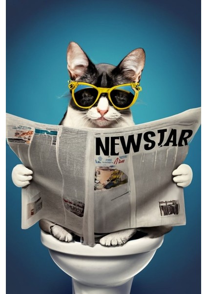 Wc Tuvalet Komik Kedi Ev Duvar Salon Güzellik Salonu Ofis Dükkan Dekarasyon Kanvas Tablo fiyatları