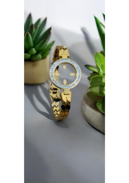 Zerafet Çemberi Çelik Kelepçe CNS039-2