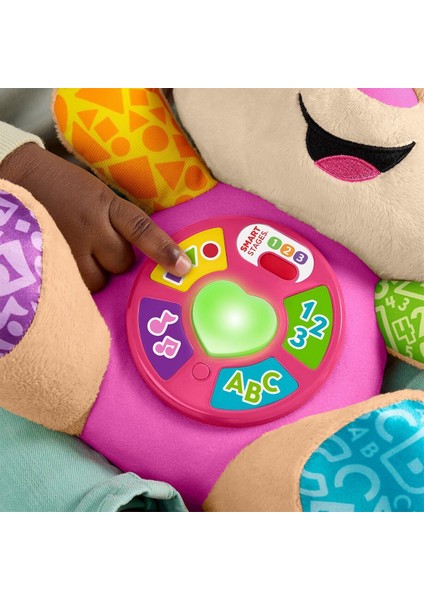 JFD34 Fisher Price Eğtici Köpekçiğin Kız Kardeşi-Yaşa Göre Gelişim indirimleri