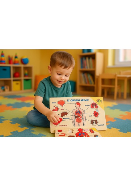 7’li Eğitici Ahşap Puzzle Seti | Organlar, Meslekler, Hayvanlar ve Daha Fazlası