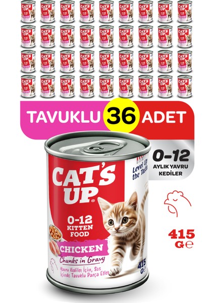 Cats Up Yaş Yavru Kedi Maması Tavuklu 415GR 36LI
