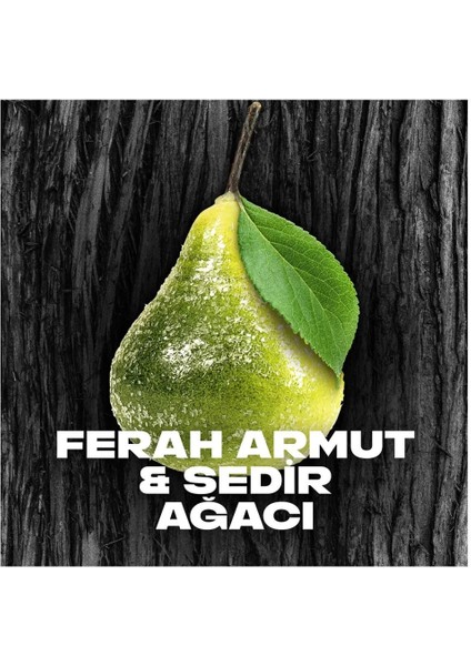 3 Adet Erkek Deodorant & Bodyspray Black 48 Saat Etkileyici Koku Vücut Spreyi 150 ml modelleri