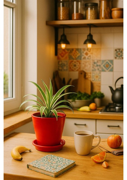 Tabaklı Kırmızı Konik Çömlek Saksı 23X23 cm fiyatları