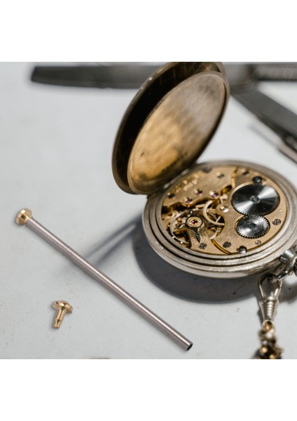 Kutu Saat Onarım Alet Seti Kitleri Saat Kayışı Vidaları Çeşitler Tüp (Yurt Dışından) indirimleri