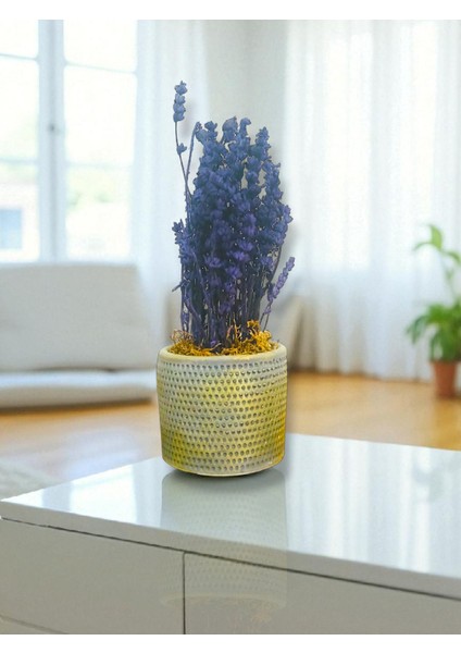 -Beton Saksıda Şoklanmış Lavanta Ofis Salon Hediyelik Çiçek modelleri