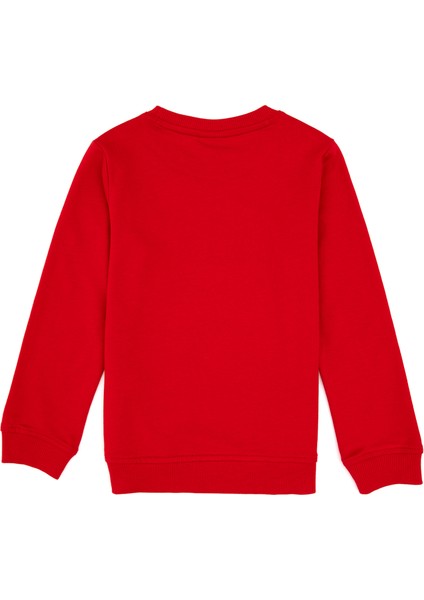 Erkek Çocuk Kırmızı Sweatshirt 50313830-VR171 fiyatları