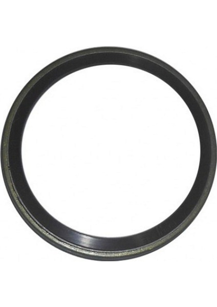 Zengezur Abs Okuyucu Halka Arka Scenic Iii