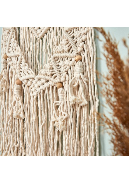 Dekoratif Ağ Düş Kapanı modelleri