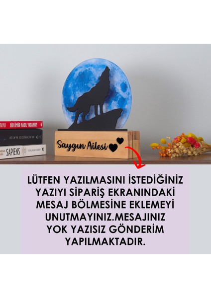 LED Işıklı Pleksi Dolunay Kişiselleştirilebilir Dekoratif Biblo Ursula Kurt Anahtar Askılığı modelleri