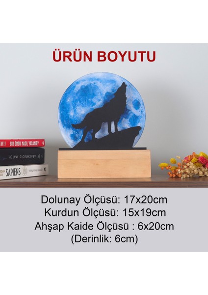 LED Işıklı Pleksi Dolunay Kişiselleştirilebilir Dekoratif Biblo Ursula Kurt Anahtar Askılığı