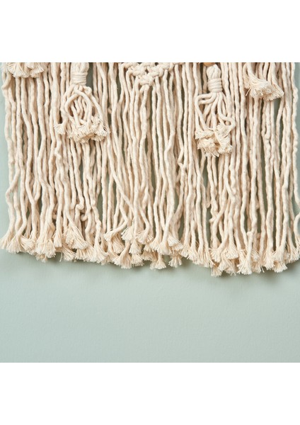 Dekoratif Ağ Düş Kapanı indirimleri