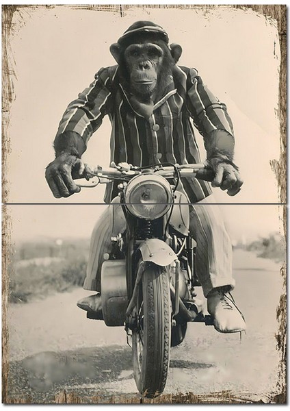 Motosikletli Maymun Model Mdf Tablo 70CMX 100CM