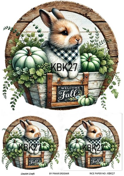 Kabak Serisi Halloween, Kabak, Pumpkin KBK27 Pirinç Dekopaj 30*42 cm