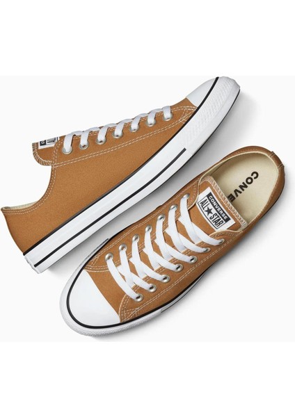 Chuck Taylor All Star Seasonal Colour Low Top Incensed Kadın Günlük Spor Ayakkabı fiyatları