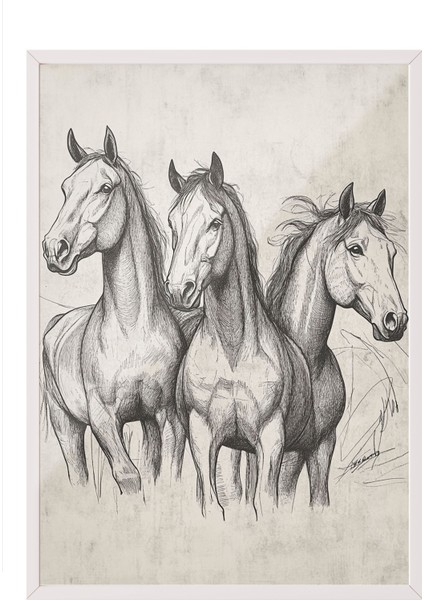 Beyaz Çerçeveli Tablo, Üçlü At Eskiz Çizimi – Siyah Beyaz, Ofis Dekoru Poster No: 108664