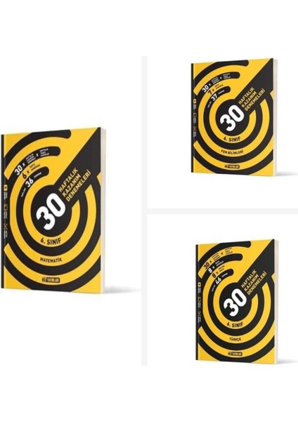 6. Sınıf Türkçe + Matematik + Fen Bilimleri Haftalık Denemeleri S