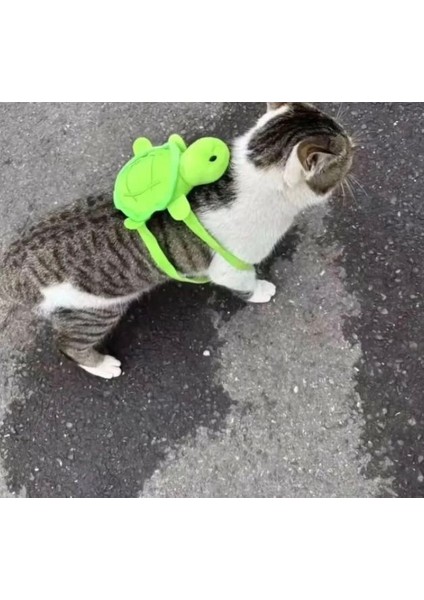 Kapibara Kaplumbağalı Peluş Oyuncak Bileklik Araba Aksesuarı 18 cm modelleri