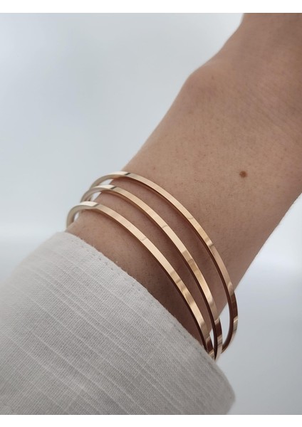 316L Paslanmaz Çelik 3'lü Ince Ajda Bilezik