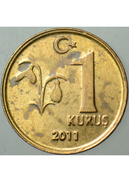 Türkiye Cumhuriyeti 1 Kuruş 2011 Lekeli Çilaltı Kondisyon. fiyatları
