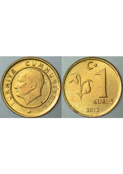 Türkiye Cumhuriyeti 1 Kuruş 2012 Çilaltı Kondisyon.