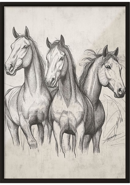 Siyah Çerçeveli Tablo, Üçlü At Eskiz Çizimi – Siyah Beyaz, Ofis Dekoru Poster No: 108664