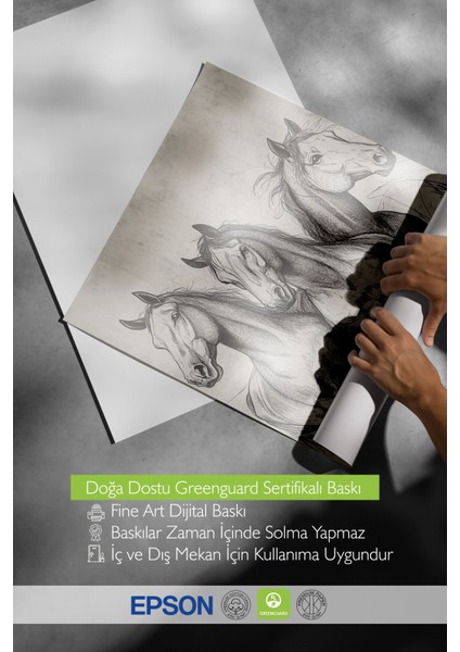 Siyah Çerçeveli Tablo, Üçlü At Eskiz Çizimi – Siyah Beyaz, Ofis Dekoru Poster No: 108664