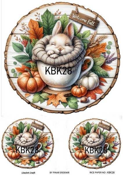 Kabak Serisi Halloween, Kabak, Pumpkin KBK28 Pirinç Dekopaj 30*42 cm