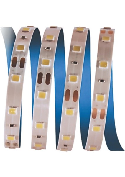 Ct 4481 10 Çip Günışığı Iç Mekan Şerit LED 5m Aydınlatma