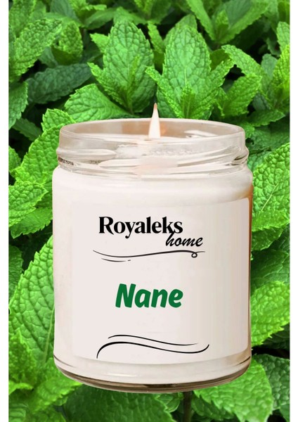 Doğal Özel Seri Kokulu Dekoratif Kavanoz Mum 210 cc - Nane Esansı - Ryl modelleri