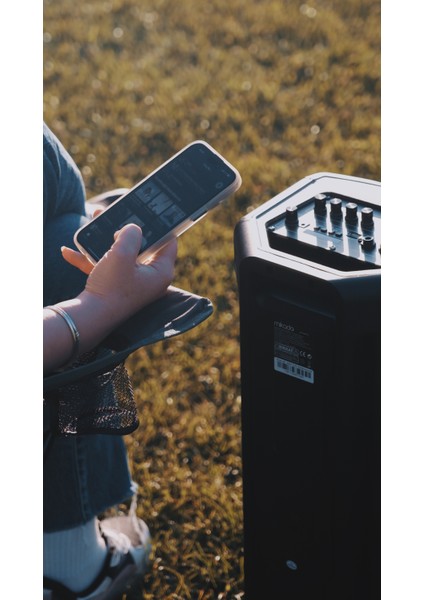 MD-833KP 7.4V3000MAH 30W Bluetooth/usb/tf/fm/led Işıklı Kablolusuz Mikrofonlu Toplantı Anfisi