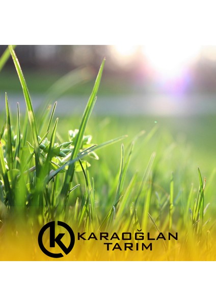 1 Haftada Çıkan Basmaya Dayanıklı 4 Mevsim Gübreli Çim Ekim Paketi 60 M2 Alan Için modelleri