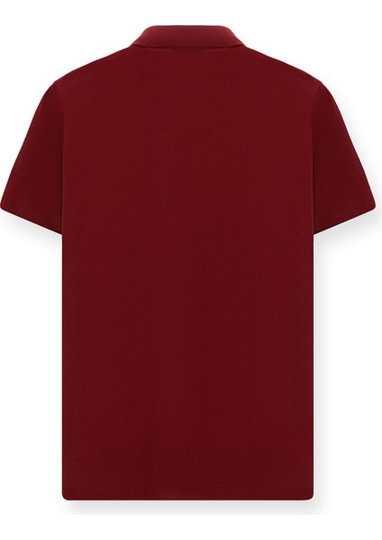 Polo Yaka Regular Fit Pamuklu Tişört fiyatları