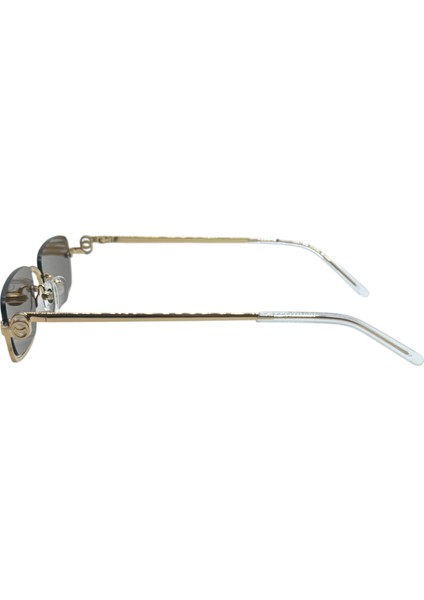 CBS2127 C3 Kahverengi Kadın Güneş Gözlüğü fırsatları