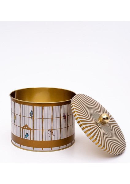 ER145-T7 Bird Cage Desenli Yuvarlak Metal Saklama Kabı 17.5 cm modelleri