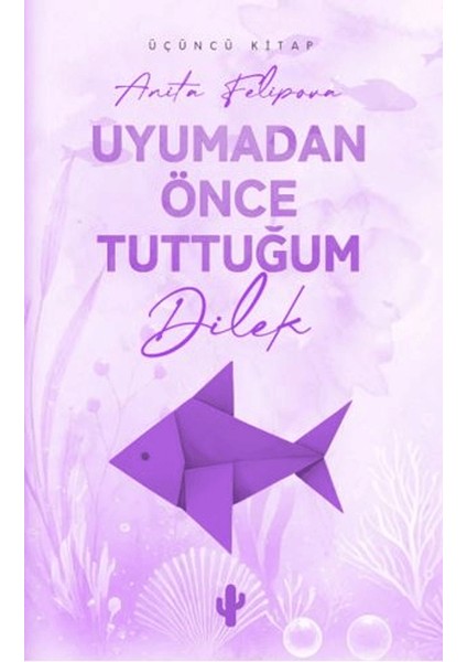 Uyumadan Önce Tuttuğum Dilek 3