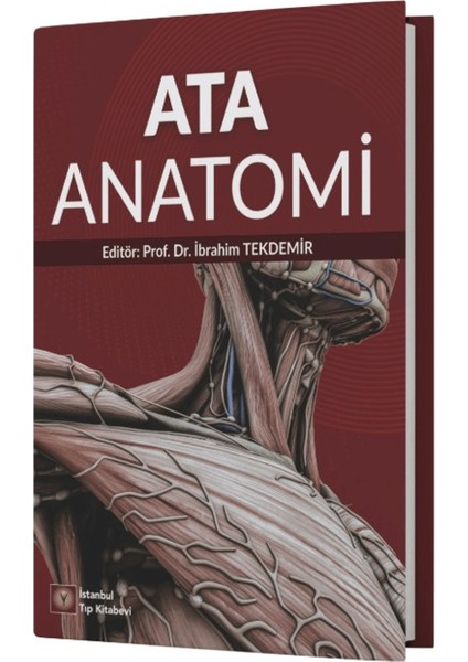 Ata Anatomi