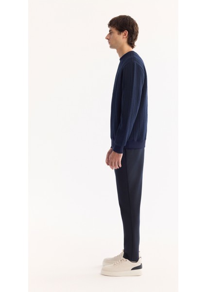 Erkek Lacivert Bisiklet Yaka Çizgili Elastan Regular Fit Sweatshirt A52Y1218 modelleri