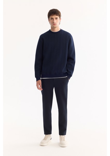 Erkek Lacivert Bisiklet Yaka Çizgili Elastan Regular Fit Sweatshirt A52Y1218