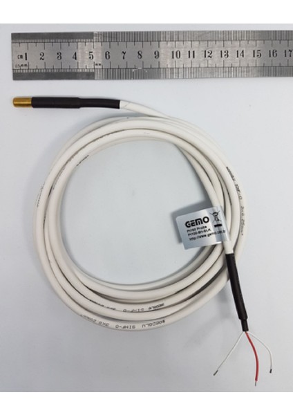 PT100-6H-SLK ,M6X30MM PT100 Bayonet Isı Sensör