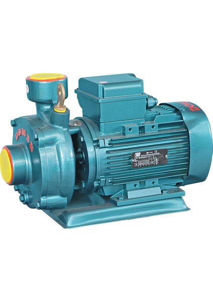 SLG200-2K 3hp 220V 2 Kademeli Monoblok Elektropomplar