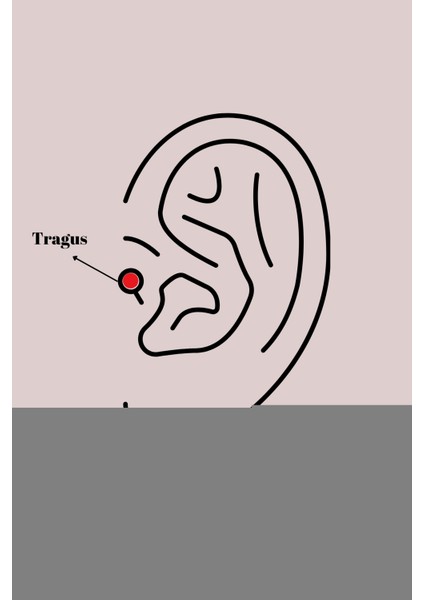 316L Çelik Gümüş Renk Mavi Zirkon Taşlı Tragus Piercing fiyatları