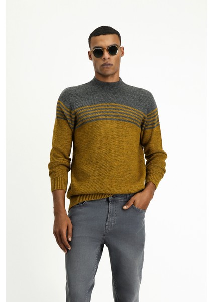 Yarım Balıkçı Yaka Regular Fit Dikişsiz Desenli Triko Kazak