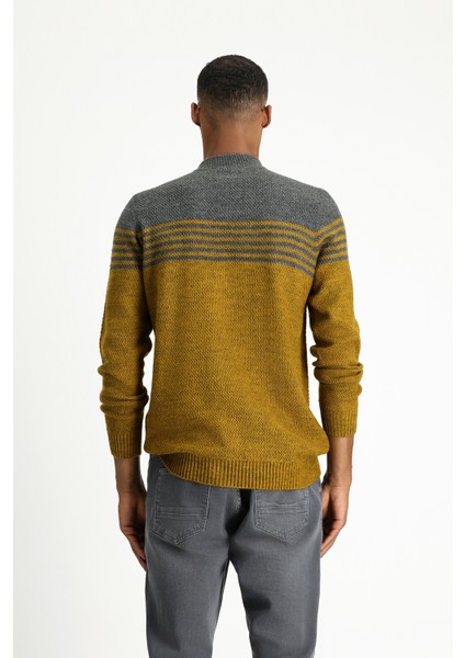 Yarım Balıkçı Yaka Regular Fit Dikişsiz Desenli Triko Kazak fırsatları