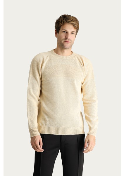 Bisiklet Yaka Slim Fit Dar Kesim Dikişsiz Desenli Yünlü Triko Kazak modelleri