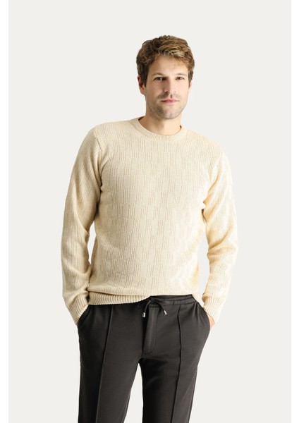 Bisiklet Yaka Regular Fit Yünlü Desenli Triko Kazak modelleri