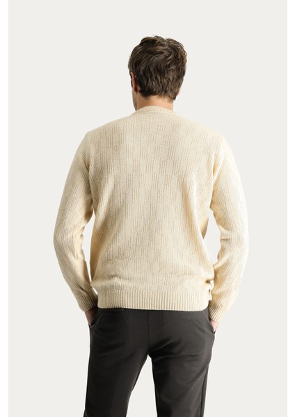 Bisiklet Yaka Regular Fit Yünlü Desenli Triko Kazak fırsatları