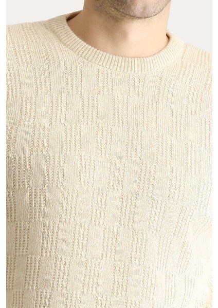 Bisiklet Yaka Regular Fit Yünlü Desenli Triko Kazak indirimleri