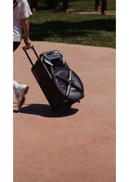 MD-BT123 30W Usb/bt/tf/tws Kablosuz ve Kafa Mikrofonlu Öğretmen/toplantı Anfisi