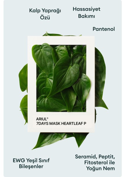 7 Days Mask Heartleaf P - Yatıştırıcı & Nemlendirici Kalp Yaprağı Özlü Vegan Kağıt Maske fiyatları