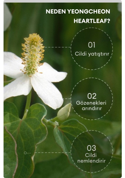7 Days Mask Heartleaf P - Yatıştırıcı & Nemlendirici Kalp Yaprağı Özlü Vegan Kağıt Maske fırsatları